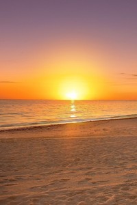 顶级射手刷新纪录荣耀登顶