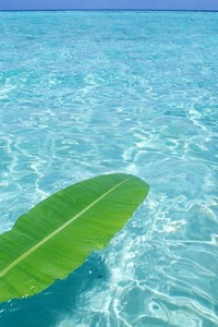 强强碰撞的篮球竞技赛赢得掌声