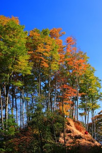 罗马队员毫不畏惧，战胜劲敌