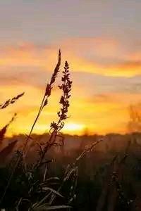 上海大鲨鱼尽显实力，将与广州对决