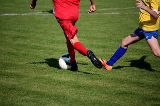 星空体育官网-五大联赛是否推动球员通过站位节奏学习适应战术切换,五大联赛地位 第2张